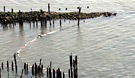 Broadway Beach