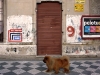 eltono-argentina07.jpg