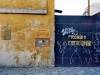 brasil03.jpg
