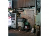 tono_seoul33.jpg