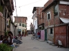 dsc06335.jpg