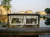 eltono_italia09.jpg