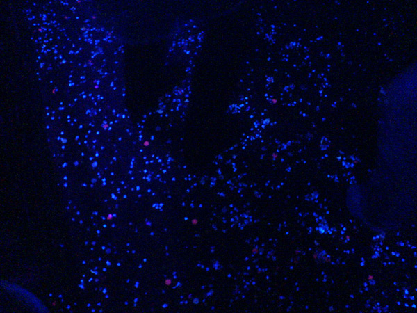 After the opening we went to dance and this is the floor of the club at the end of the night!!!!! After the opening we went to dance and this is the floor of the club at the end of the night!!!!!
